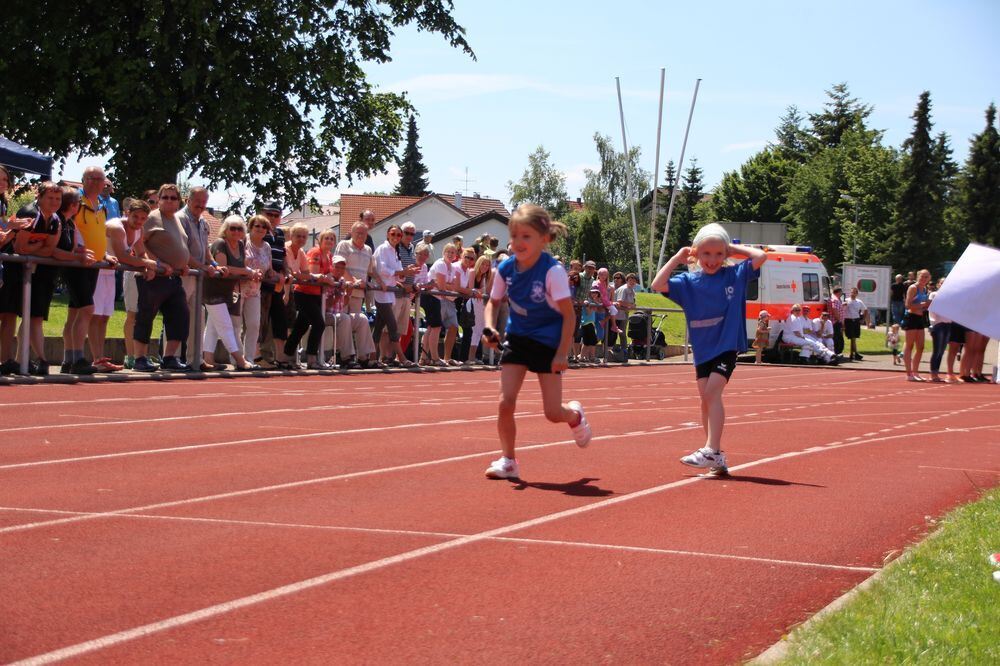 Lichtensteinlauf 2015. Fotos: Leippert.