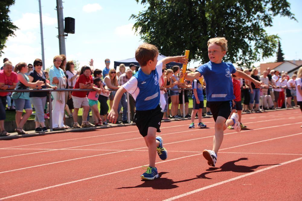 Lichtensteinlauf 2015. Fotos: Leippert.