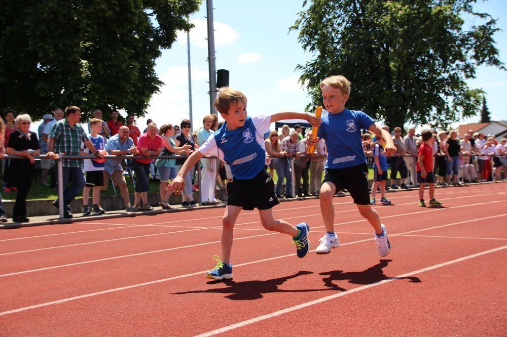 Lichtensteinlauf 2015. Fotos: Leippert.