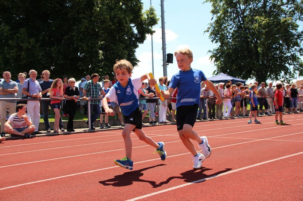 Lichtensteinlauf 2015. Fotos: Leippert.