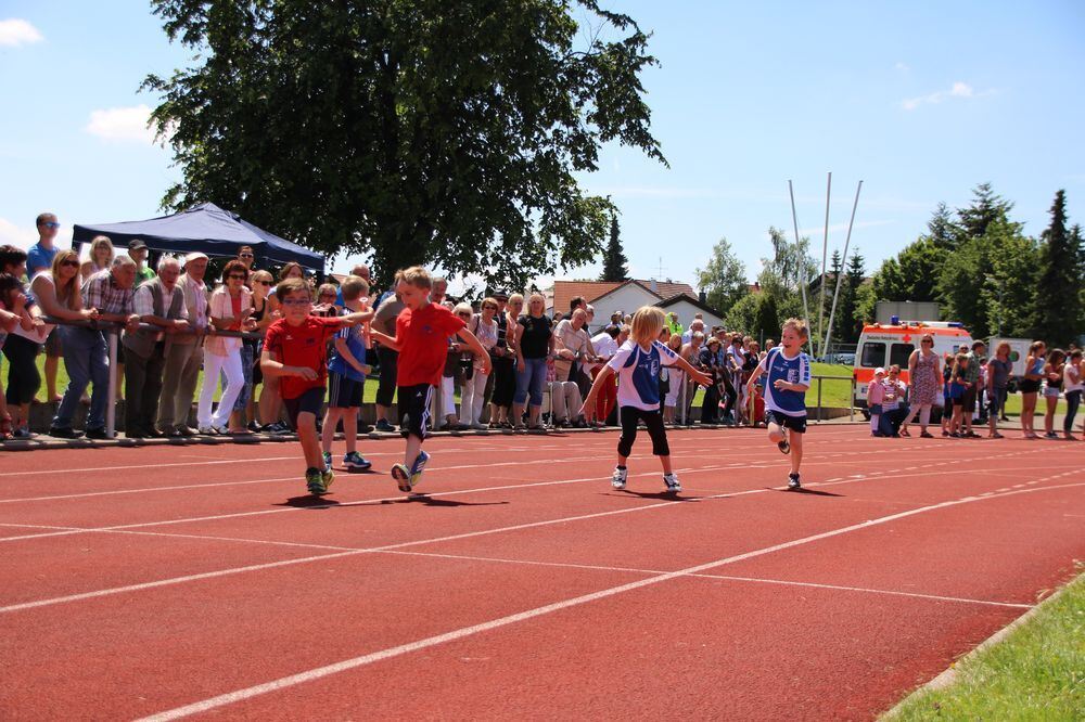 Lichtensteinlauf 2015. Fotos: Leippert.