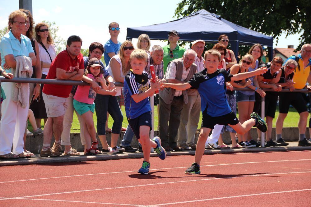 Lichtensteinlauf 2015. Fotos: Leippert.