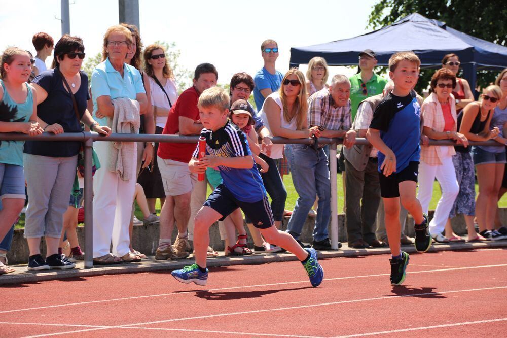 Lichtensteinlauf 2015. Fotos: Leippert.