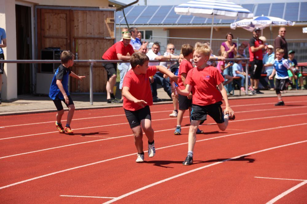 Lichtensteinlauf 2015. Fotos: Leippert.