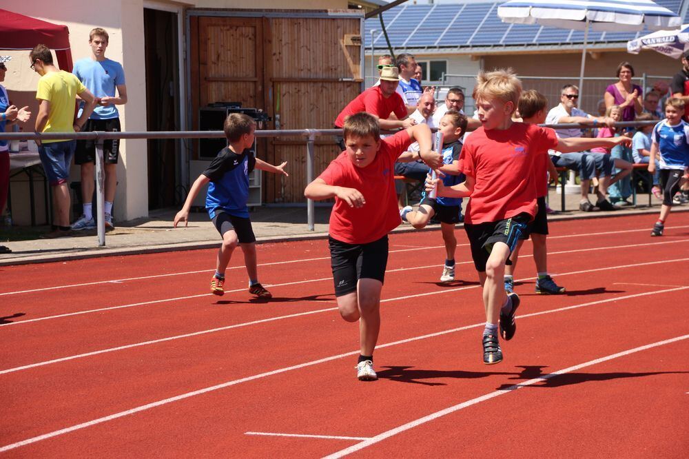 Lichtensteinlauf 2015. Fotos: Leippert.