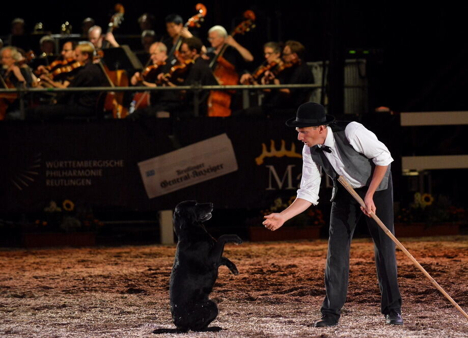 Marbach Classics 2015