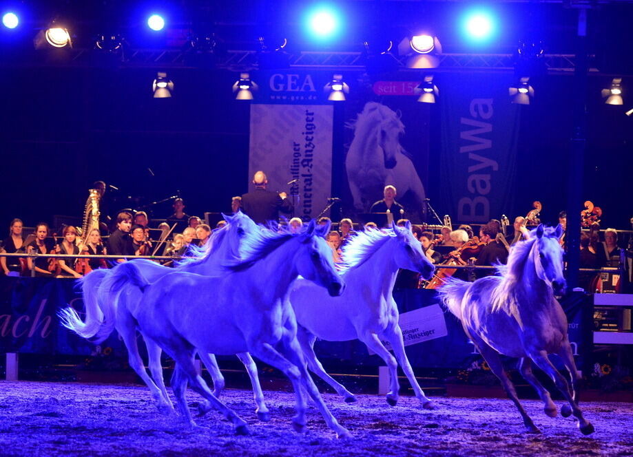 Marbach Classics 2015