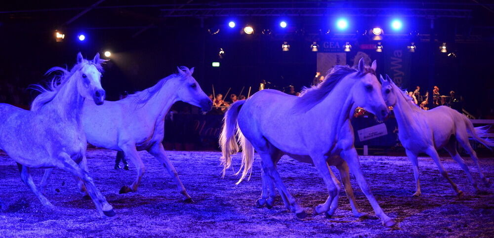 Marbach Classics 2015