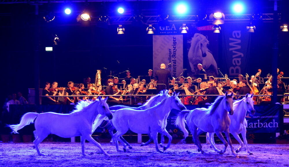 Marbach Classics 2015