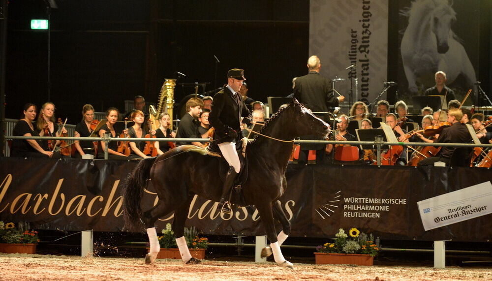 Marbach Classics 2015