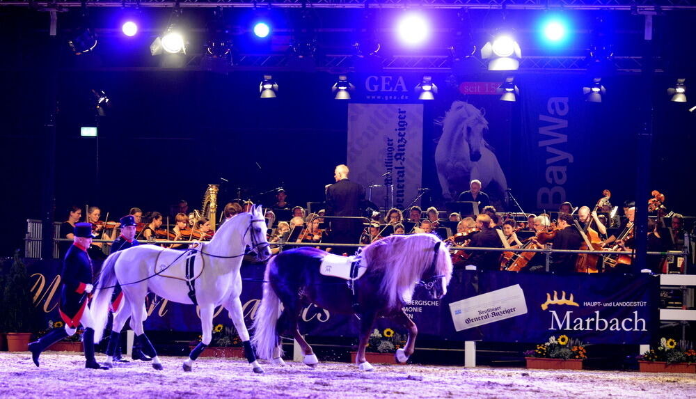 Marbach Classics 2015