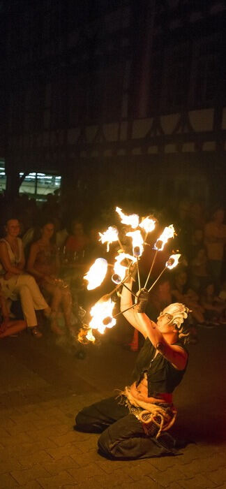 Schwörtag Reutlingen 2015