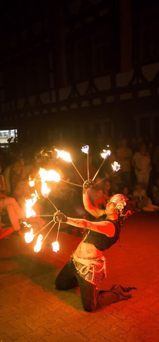 Schwörtag Reutlingen 2015