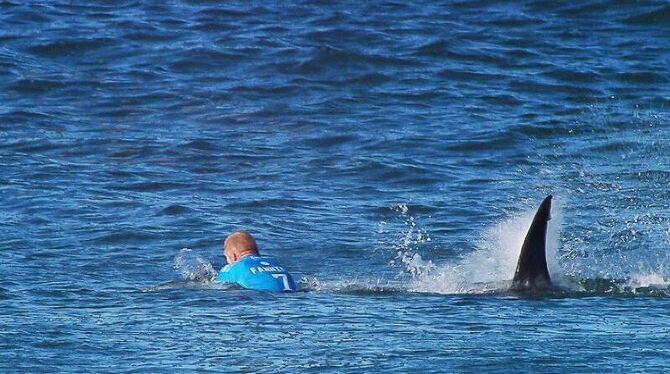 Im Finale griff der Hai Fanning vor dem Strand der Jeffreys Bay in Südafrika von hinten an. Foto: World surf League