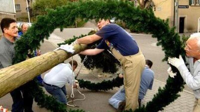 Er war der erste: der Maibaum zu Mittelstadt, geschmückt mit Kränzen und Girlanden und schon am Dienstag hinaufgestemmt von Männ