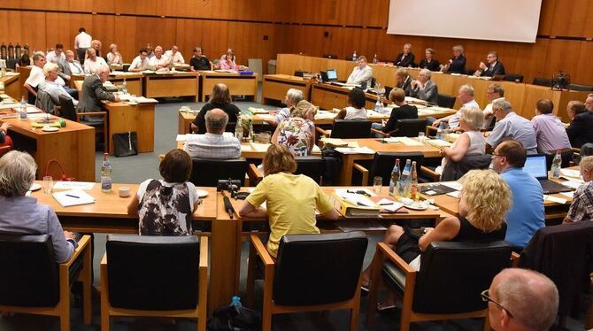 Pro und contra Stadtkreisgründung: Reutlingens Gemeinderat stimmte gestern namentlich auf Zuruf ab. GEA-FOTO: PACHER