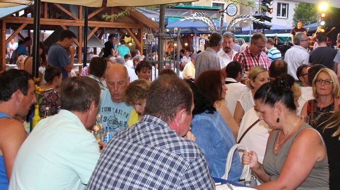 Zahlreiche Zelte und Lauben verwandelten Hayingen Innenstadt in eine gemütliche Gartenwirtschaft. FOTO: LEIPPERT