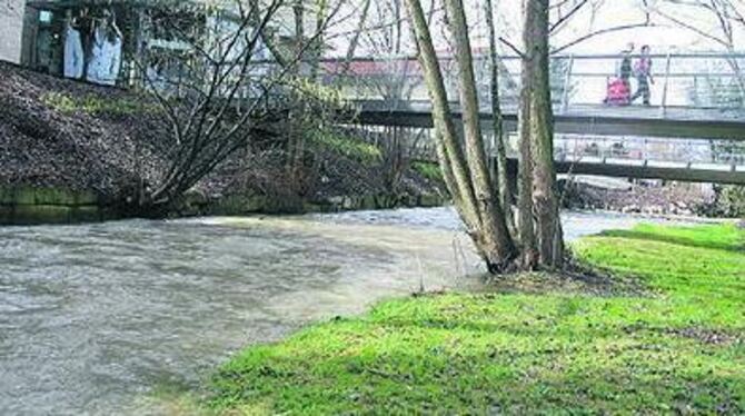 Thema beim Gewässertag: Die Erms und ihre Brücken, hier beim Lindenplatz in Metzingen. GEA-FOTO: FÜSSEL