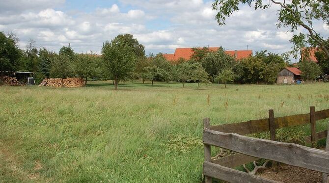 Das bisherige Grünland »Im Weiher« in Mähringen soll in ein mögliches Wohnbaugebiet umgewandelt werden. GEA-FOTO: STÖHR