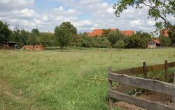 Das bisherige Grünland »Im Weiher« in Mähringen soll in ein mögliches Wohnbaugebiet umgewandelt werden. GEA-FOTO: STÖHR