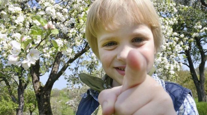 Spielerisch lernen und begreifen steht im Mittelpunkt des Streuobst-Unterrichts für Grundschulen. FOTO: PRIVAT