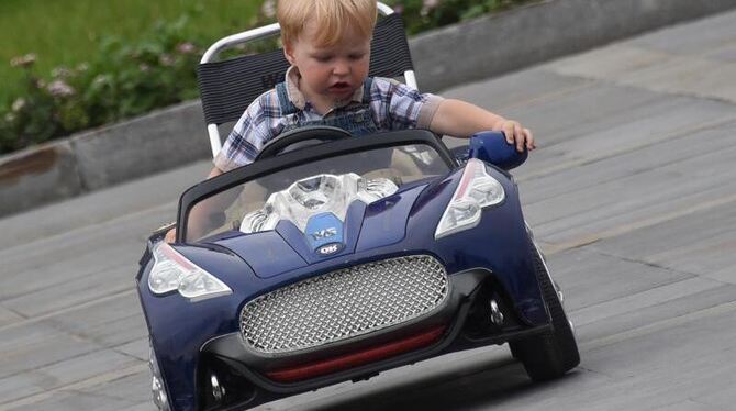 Edelspielzeug: Das können sich die Kids vom Taschengeld sicherlich nicht leisten. Foto: Marcus Brandt/Archiv