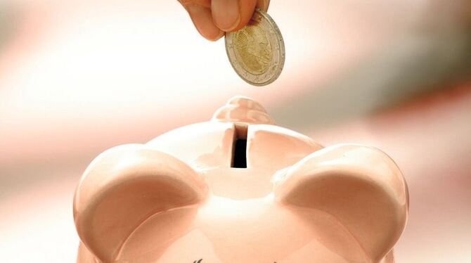 Das Sparschwein steht. Doch wo sind die Euros abzuzwacken? FOTO: MEV-VERLAG Das Sparschwein steht. Doch wo sind die Euros abzuzwacken? FOTO: MEV-VERLAG