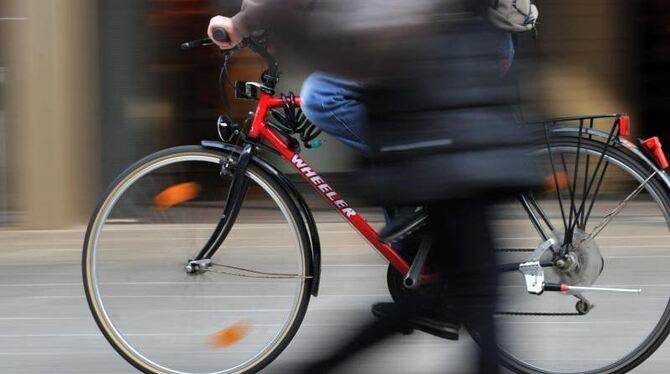 Foto: Emily Wabitsch/Archiv