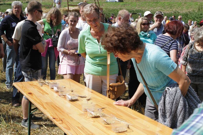 Jubiläumssonderzug Albkorn