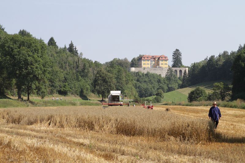 Jubiläumssonderzug Albkorn