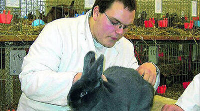 Preisrichter Stefan Huber pustet der Kaninchendame ins Fell, um die Färbung des Unterhaars zu begutachten.  FOTO: ELS