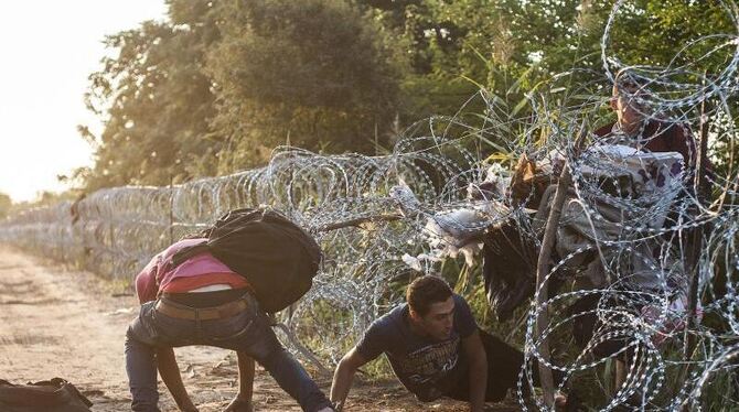 Der neue Zaun an der Grenze zu Serbien hält die Flüchtlinge nicht davon ab, nach Ungarn zu kommen. Foto: Sandor Ujvari Der neue Zaun an der Grenze zu Serbien hält die Flüchtlinge nicht davon ab, nach Ungarn zu kommen. Foto: Sandor Ujvari