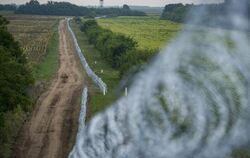Stacheldrahtzaun an der ungarisch-serbischen Grenze. Die rechts-konservative Regierung in Budapest erhofft sich, damit Flücht