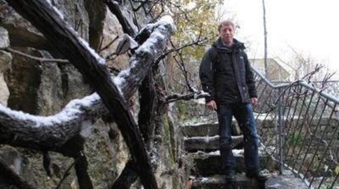 Wein wächst an der Trockenmauer, die zu Rainer Guschlbauers Sitzplatz hinunterführt. GEA-FOTO: DEWALD