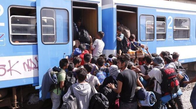 Tausende Flüchtlinge, und täglich werden es mehr - weil sich Kroatien überfordert fühlt, werden die Flüchtlinge zurück an die