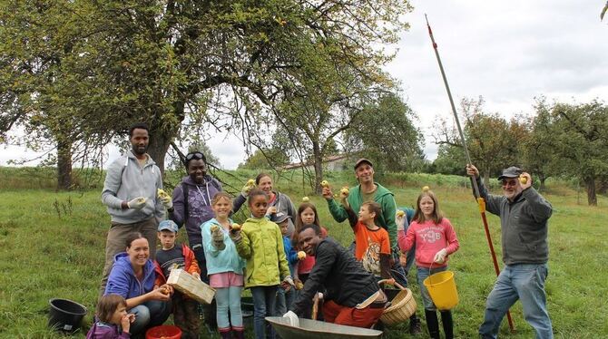 Gemeinsam geht’s am besten: Einheimische und Flüchtlinge bei der Apfelernte auf Wannweiler Streuobstwiesen – auch eine Gelegenhe
