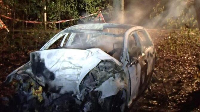 Der Wagen war aus bisher unbekannter Ursache gegen eine Straßenlaterne und danach gegen eine Baum geprallt und sofort in Flam