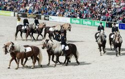 Die »Fahrschule im Sattel«wird im Haupt- und Landgestüt in Marbach während des Auftaktes der Hengstparaden 2015 mit Pferden der
