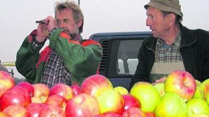 Daraus lässt sich ein schöner Secco machen: Roland Lieb, bei der Dettinger Rosstriebkellerei für die Obstannahme zuständig, prüf