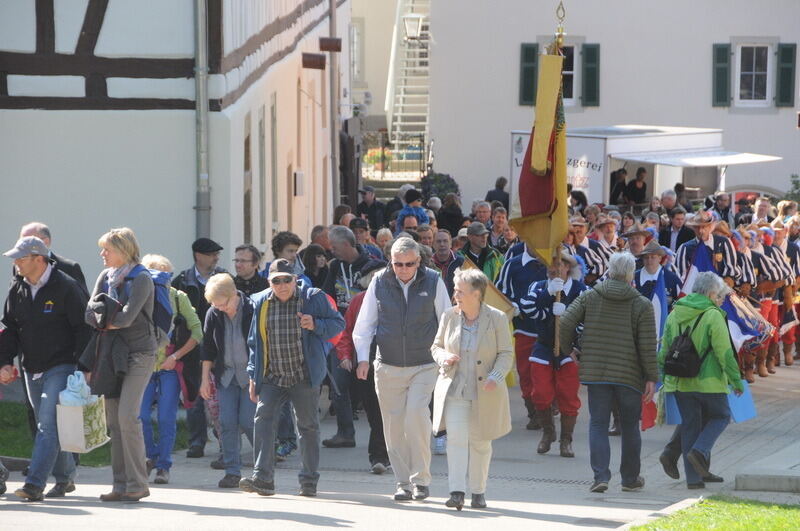 Hengstparade Marbach September 2015