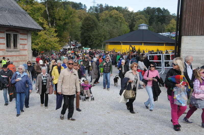 Hengstparade Marbach September 2015