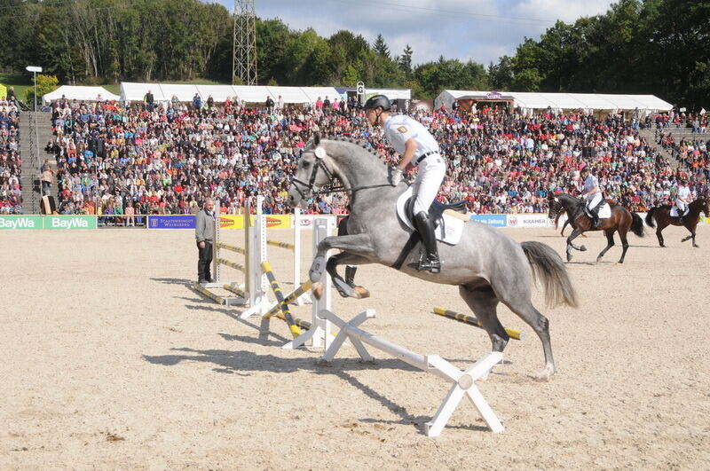 Hengstparade Marbach September 2015