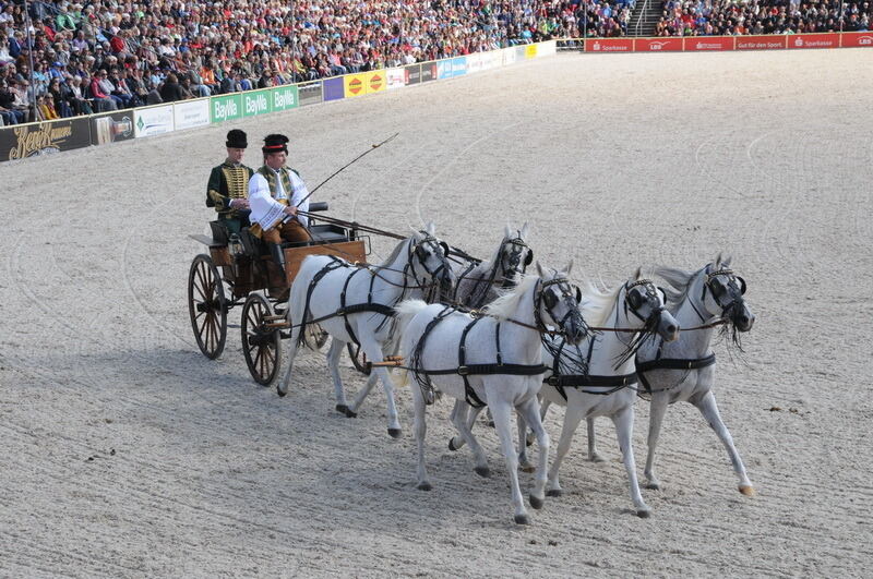 Hengstparade Marbach September 2015
