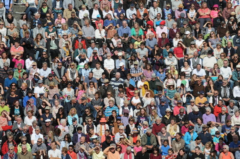 Hengstparade Marbach September 2015
