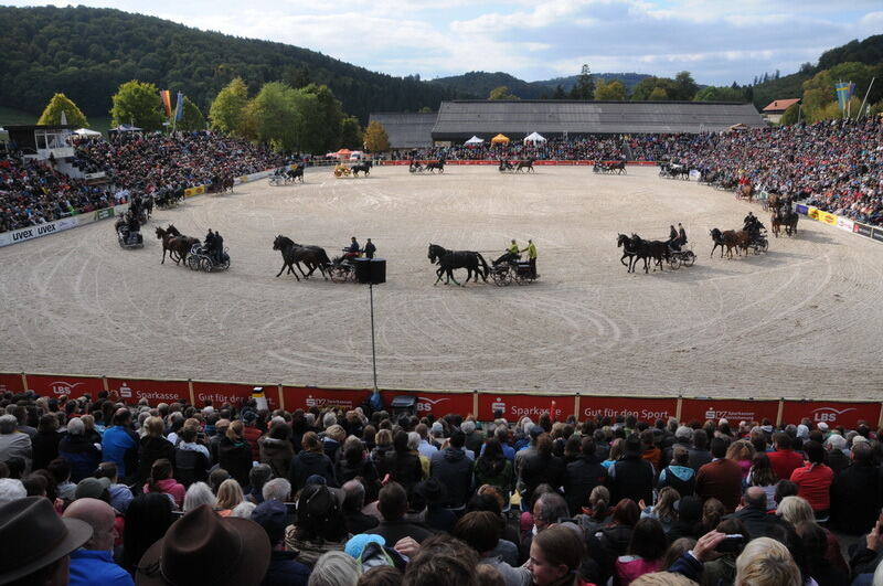 Hengstparade Marbach September 2015
