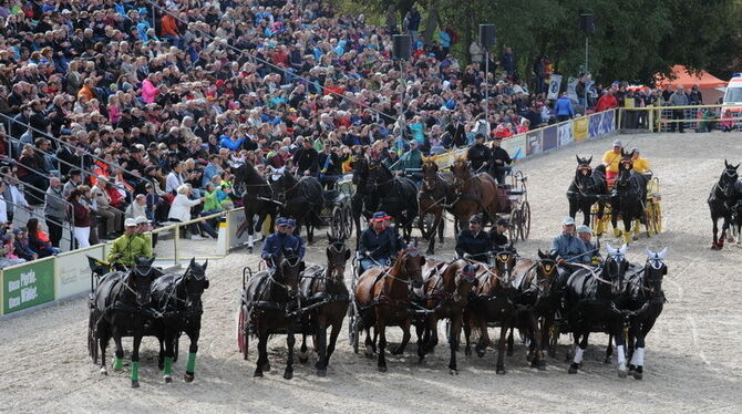 Hengstparade Marbach September 2015 Hengstparade Marbach September 2015