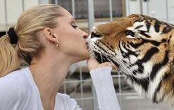 Showtime: Carmen Zander schmust für die Pressekameras ausgiebig mit der Tigerin Kiara.  FOTO: NIETHAMMER