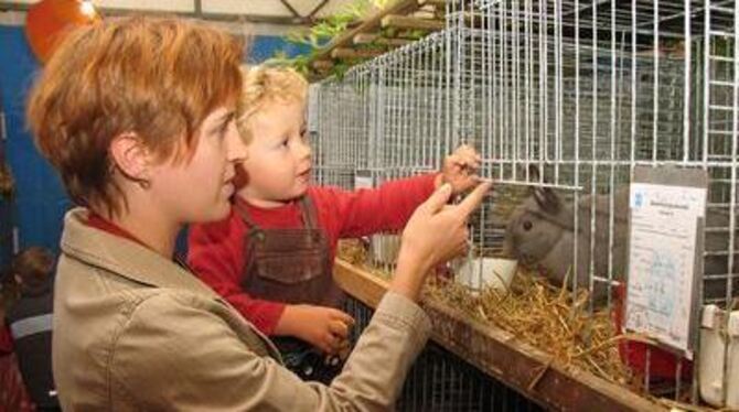 Kleine und große Besucher hatten ihre Freude an wolligen Kaninchen, schnatternden Gänsen und stolzen Hähnen. FOTO: SCHÄLE-SCHMIT