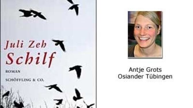 Buchtipp von Antje Grots, Mitarbeiterin der Osianderschen Buchhandlung in Tübingen: »Schilf«