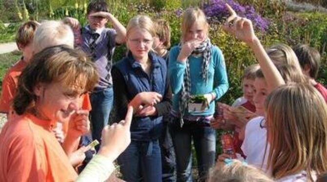 Die Miniköche-Ausbildung fängt im Kräutergarten mit Beate Spohn-Gundert (links) an. Im nächsten Jahr legen die Miniköche selber